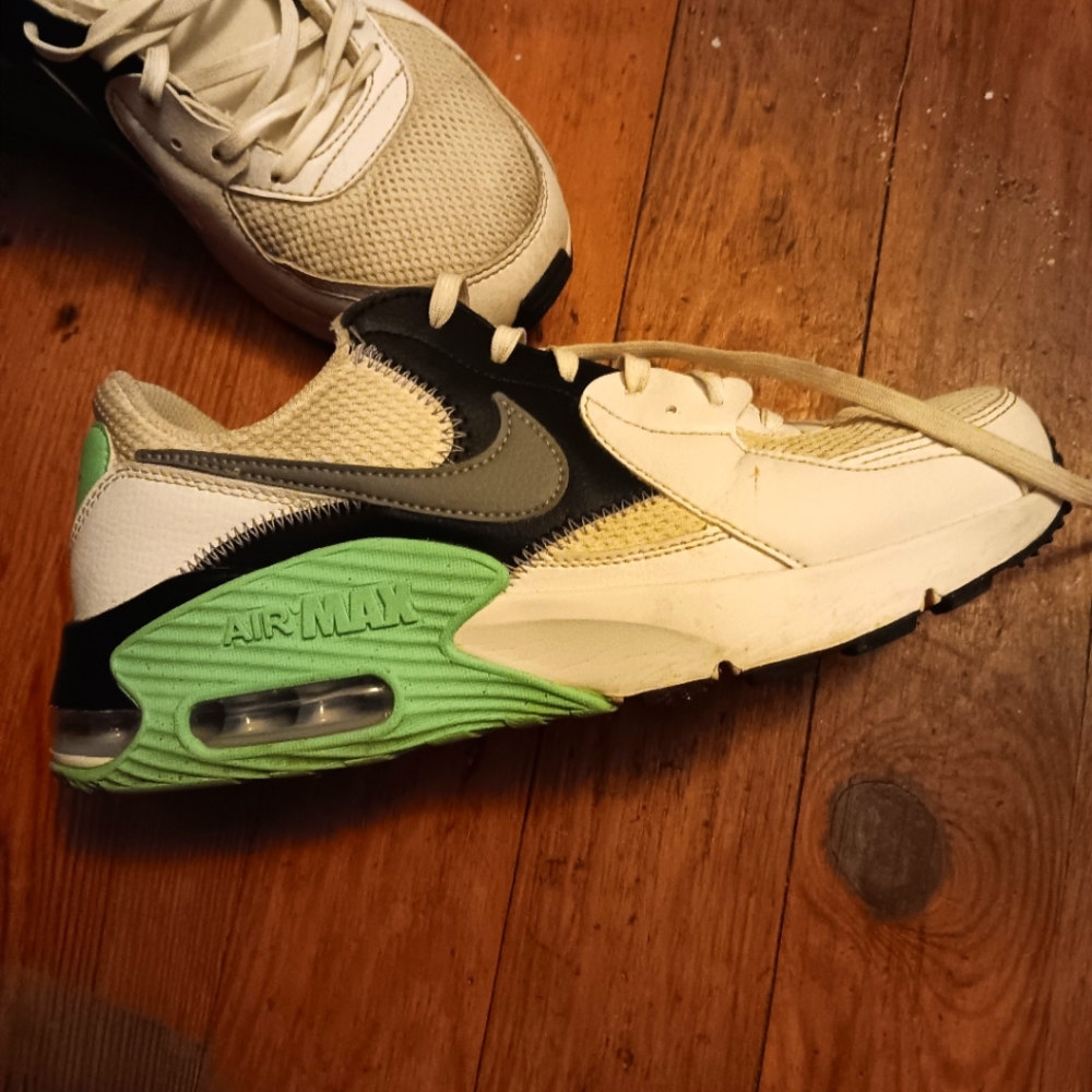 Nike 9.5